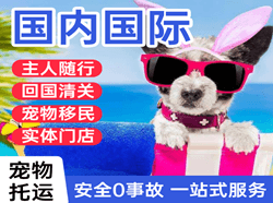 鄂托克旗乌兰机场空运国际宠物托运 【国